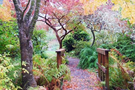 Oregon Nature, Lincoln City Oregon, The Oregon Trail, Camping Places, Hidden Garden, Gorgeous Scenery, Secret Gardens, The Secret Garden, Backyard Inspo