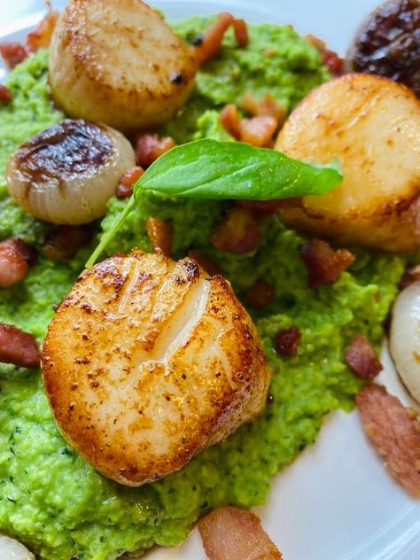 Sweet Pea Puree, Basil Puree, Cook Scallops, Pea Puree, Cipollini Onions, Crispy Pancetta, How To Cook Scallops, Avocado Vegan, Pearl Onions