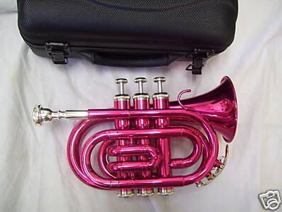 I love piccolo trumpets and I've always wanted to play one! Especially a pink one Piccolo Instrument, Pocket Trumpet, Piccolo Trumpet, Trumpet Mouthpiece, Pink Music, Trumpet Players, Band Geek, Band Kid, Concert Band