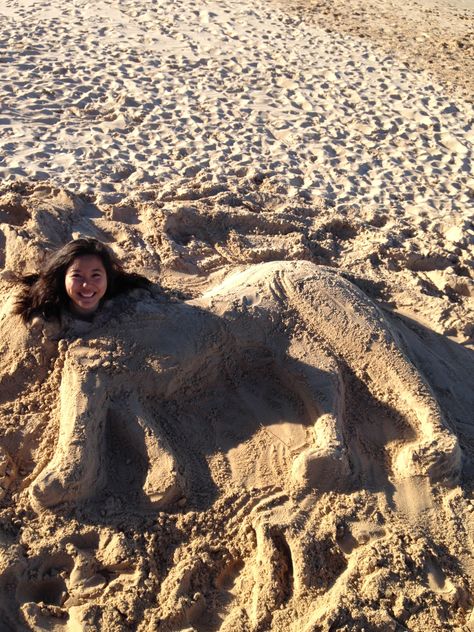 Lion in the sand | June 2014 Confused Pictures, Playing In The Sand, Sand Castles, Mermaid Beach, Photo Journal, Summer Bucket Lists, Summer Bucket, Sand Castle, Beach Sand