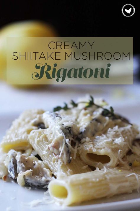 Recipes With Shiitake Mushrooms, Mushroom Rigatoni, Cooking With Shitake Mushrooms, Shiitake Mushroom Pasta, Shitake Mushroom Pasta Recipe, Shiitake Mushroom Recipes, Dried Shitake Mushroom Recipes, Shitake Mushroom Recipes, Shiitake Recipes