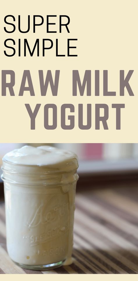 How to Make Raw Milk Yogurt - Goat Milk Yogurt, Homemade Yogurt Recipes, Diy Yogurt, Goat Milk Recipes, Making Yogurt, Nourishing Traditions, Dairy Desserts, Fermentation Recipes, Great Health