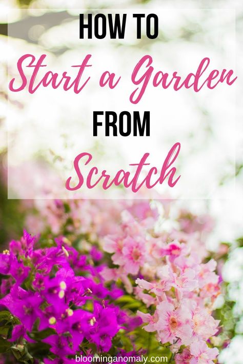 Grow Plants Indoors, Garden From Scratch, Flowers In Pots, Garden Front Of House, Small Flower Gardens, Garden Bed Layout, Start A Garden, Purple Flowers Garden, Urban Gardens