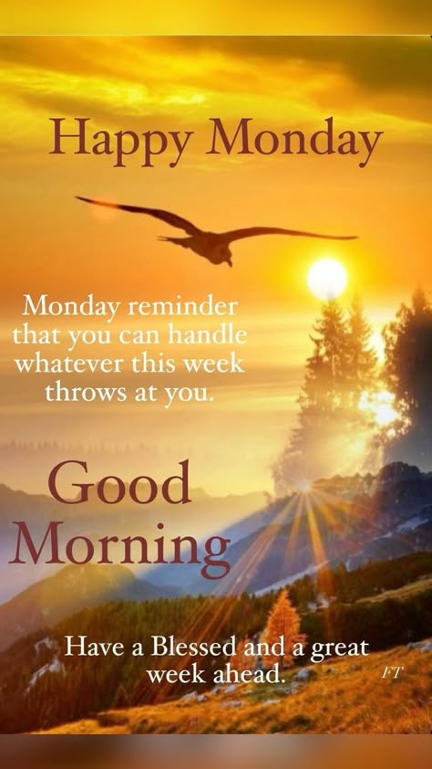 Monday Morning Quotes Inspiration Positivity, Monday Morning Greetings, Monday Morning Blessing, Magic Monday, Monday Morning Inspiration, Week Blessings, Monday Morning Motivation, Happy Monday Quotes, Happy Monday Morning