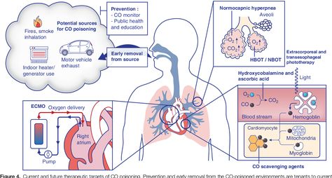 Figure 4 from Carbon Monoxide Poisoning: Pathogenesis, Management, and Future Directions of Therapy | Semantic Scholar Acute Respiratory Distress, Gas Exchange, Respiratory Distress, Carbon Monoxide Poisoning, Hyperbaric Oxygen Therapy, Oxygen Therapy, Magnetic Resonance Imaging, Fetal Development, Carbon Monoxide