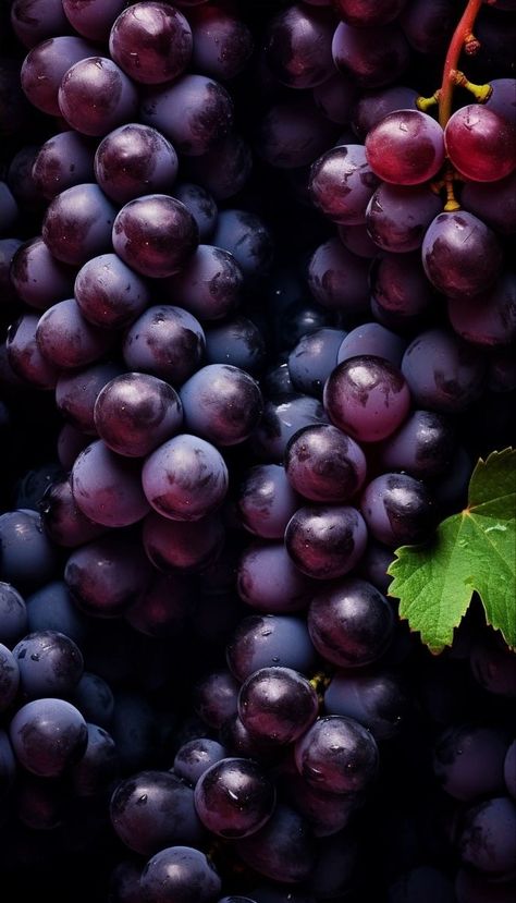 Grape Wallpaper, Planting Vines, Fruits And Vegetables Pictures, Grape Vineyard, Vegetable Pictures, Beautiful Summer Wallpaper, Purple Fruit, Fruit Picture, Fruits Images