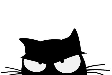 Where my cat going every evening? And why is she today angry? #catworld #blackcat #lovecats #sticker #animation #gif Angry Cat Doodle, Angry Cat Illustration, Angry Cat Cartoon, Cute Cat Animation, Angry Cat Drawing, Cat Cute Drawing, Sticker Animation, Cat Design Art, Cat Animation