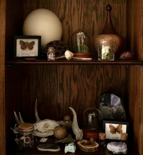 Goblin Core House, Goblin Decor, Goblin Core Room, Goblin Academia, Goblincore Room Decor, Goblin Core Aesthetic, Naturalist Decor, Goblincore Room, Goblincore Decor