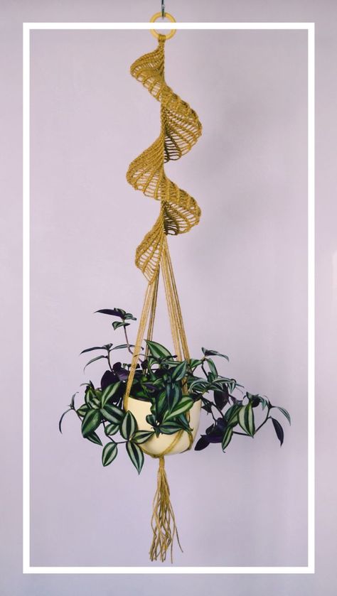 Macrame plant hanger , Jute plant holder Spiral Macrame Plant Hanger, Bedroom Macrame Wall Hanging, Bedroom Macrame, Spiral Macrame, Macrame Crafts, Window Plants, Plant Wall Decor, Diy Macrame Plant Hanger, Macrame Plant Holder