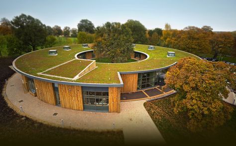 Specialists in Green Roofs, Grass Roofs and Eco Roofs | Sky Garden Case Sotterranee, Eco Roof, Sedum Roof, Green Roof System, Grass Roof, Earth Sheltered, Living Roofs, Underground Homes, Roof Architecture