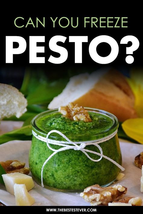 Can You Freeze Pesto? (We Show You The Quick/Simple Method) Frozen Pesto Recipe, Pesto With Walnuts Recipes, Canning Pesto, Freezing Pesto, Freeze Food, Pesto Recipes, Freezing Vegetables, Walnut Pesto, Get Rid Of Warts