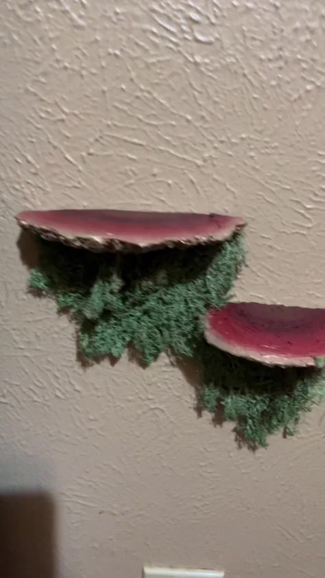 Mushroom Wall Decor Diy, Wall Mushroom Decor, Hot Glue Mushroom Shelf, Wall Mushroom Diy, Moss Themed Bedroom, Mushroom Shelves Diy, Mushroom Shelf Diy, Mushroom Bookshelf, Mushroom Diy Decor