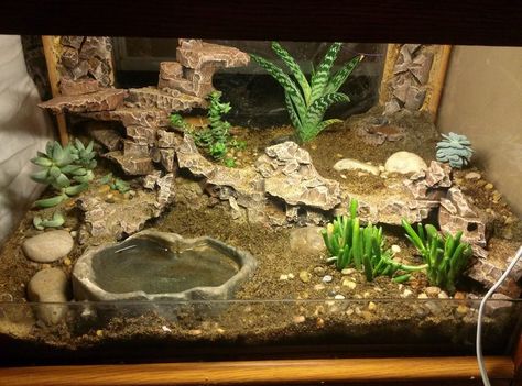 glass top end table I converted into a leopard gecko tank.  the lighting for the image is more intense than their permanent night lighting. Leopard Gecko Cage, Leopard Gecko Setup, Gecko Cage, Gecko Vivarium, Leopard Gecko Habitat, Leopard Gecko Tank, Lizard Terrarium, Leopard Gecko Care, Lizard Habitat