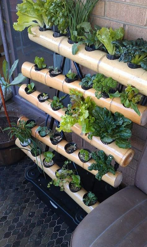 Indoor Aquaponics, Hydroponic Farming, Hydroponics Diy, Vertical Herb Garden, Hydroponic Growing, Vertical Garden Diy, Vertical Gardening, Hydroponic Plants, Bamboo Garden