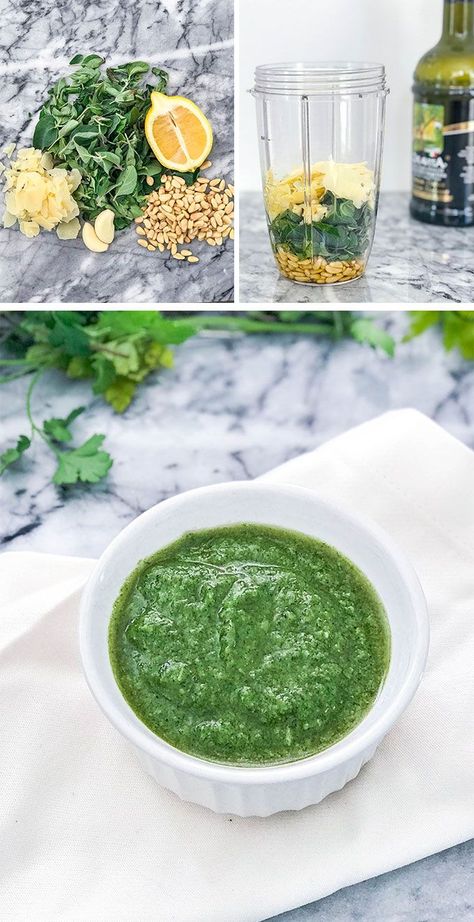 What To Do With Fresh Oregano, Fresh Oregano Recipes, Oregano Pesto, Oil Photography, Oregano Recipes, Babaganoush Recipe, Homemade Pesto Recipe, Relish Sauce, Fresh Herb Recipes