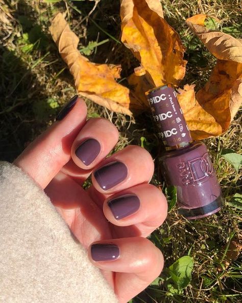 Fall Nails Dc Gel, Dnd Gel Polish Colors Fall Orange, Dnd Fall Color Nails, Dnd Ombre Nails, September Nails Color Fall Dnd, Cool Nail Polish Colors, Fall Pink Nails Dnd, Fall Nail Colors Gel Polish Short Nails, 3 Colored Nails