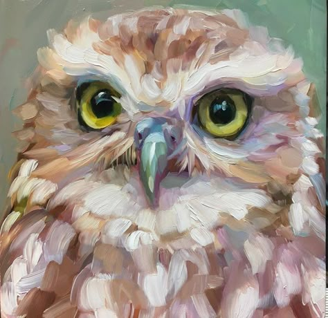 Cute Animal Paintings Acrylic, Owl Oil Painting, Owl Painting Ideas, Oil Pastel Animals, Holly Storlie, Oil Painting Animals, Owl Study, Owl Painting Acrylic, Bird Art Painting