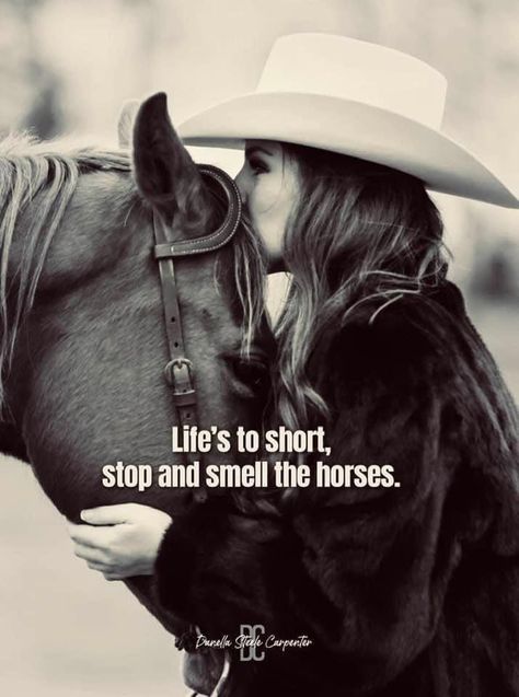 Horse Girl Quotes, Horses Quotes, Horse Massage, Equine Quotes, Horse Quote, American Saddlebred Horses, Western Quotes, Cowboy Quotes, Horse Wall Art Canvases