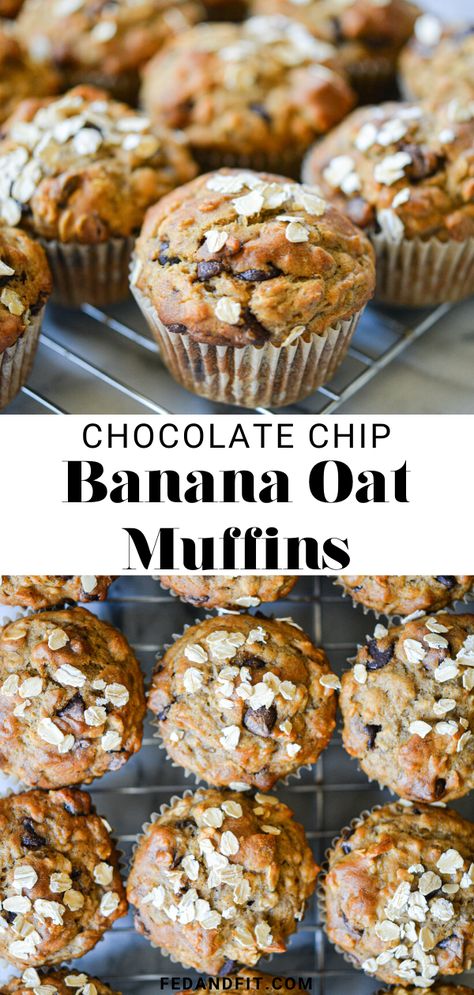 These Chocolate Chip Banana Oat Muffins are everything good about banana bread but made in portable muffin form for a delicious, on-the-go breakfast! Banana Bread Oat Cups, Oat Muffins Banana, Breakfast Muffins With Bananas, Bread Flour Muffins, Banana Oat Breakfast Muffins, Banana Oat Muffin Recipe, Easy Banana Oat Muffins, Banana Bread Breakfast Muffins, Banana Oat Chocolate Muffins