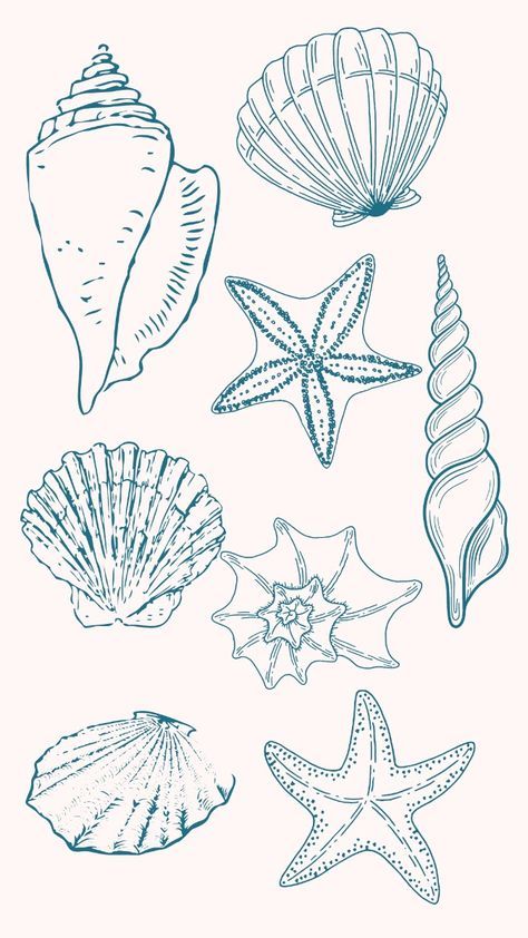 Oyster And Pearl Drawing, Seashell Printable Free, Coastal Doodles, Seashell Drawing Simple, Ocean Theme Drawings, Corals Drawings, Beach Aesthetic Tattoo, Grandmother Wallpaper, Beach Drawing Aesthetic