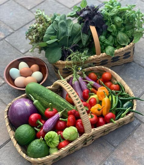 Vegetable Garden Basket, Summer Harvest Aesthetic, Vege Garden Aesthetic, Produce Garden Aesthetic, Vegetable Harvest Basket, Garden Harvest Storage, Harvest Basket Diy, Vegetable Garden Astethic, Garden Harvest Aesthetic