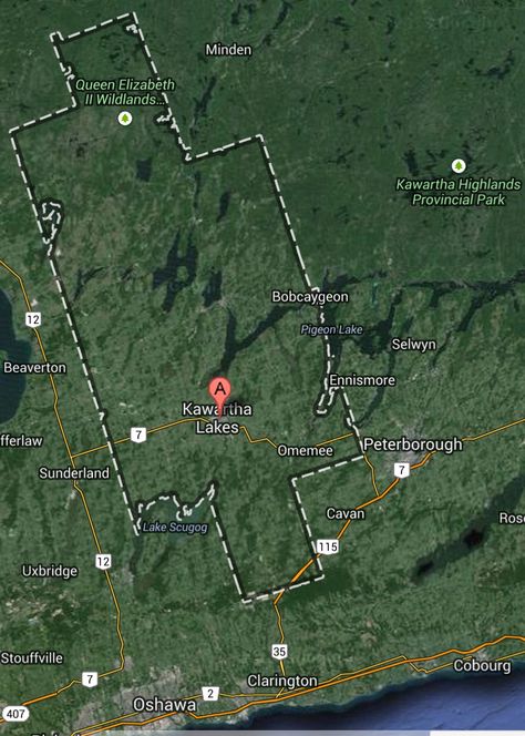 Wondering where we are? Map: City of Kawartha Lakes #Ontario Canada Satellite View our beautiful lakes, rivers and forests welcome you! Brantford Ontario, Kawartha Lakes, Canada Eh, Lake Ontario, Peterborough, Sunderland, Beautiful Lakes, Ontario Canada, Popular Pins