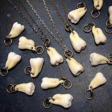 Hey, I found this really awesome Etsy listing at https://www.etsy.com/listing/949851290/tooth-fairy-series-ultimates-one-real Tooth Jewellery, Tooth Art, Tooth Pendant, Fake Teeth, Human Teeth, Bone Crafts, Teeth Jewelry, Tooth Necklace, Bone Jewelry