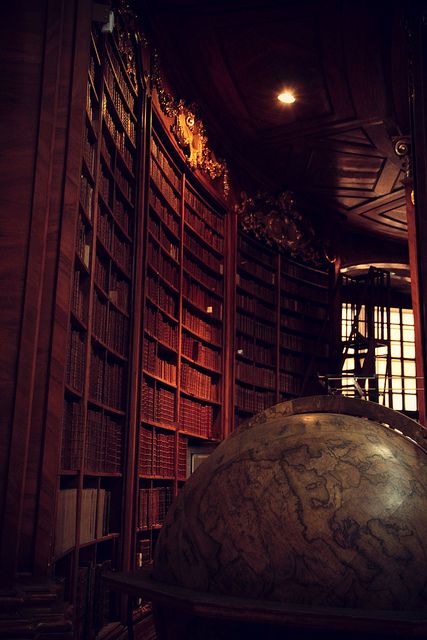 Castle Structure, Library Vienna, Beautiful Libraries, Book Shops, Old Libraries, Library Bookshelves, Weaving Inspiration, Dream Library, Beautiful Library