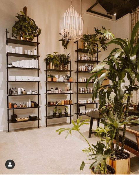 Love this styling - screenshot - credit to IG: @wildheartbeauty Spa Room With Plants, Hair Retail Display Ideas, Boutique Hair Salon Interior Design, Spa Dispensary Room Ideas, Safari Theme Hair Salon, Salon Earthy Decor, Salon Entry Way Ideas, Botanical Hair Salon Decor, Green And Gold Spa Decor