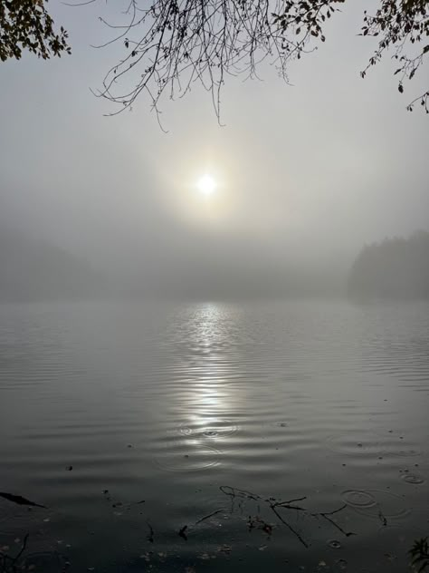 Lake in the mist ! #lake #forest #morning #mist #promenad #nature #printable #aesthetic #winter Foggy Lake Aesthetic, The Drowned Woods, Misty Aesthetic, Mist Aesthetic, Mist Wallpaper, Silent Hill Aesthetic, Forest Morning, Foggy Lake, Forest Mist