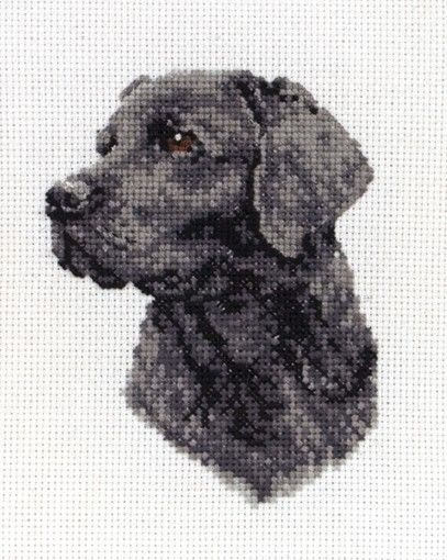 Anchor Cross Stitch, Dog Needlepoint, Anchor Cross, Labrador Noir, Black Labrador Dog, Hama Mini, Labrador Dog, Cross Stitch Animals, Black Labrador