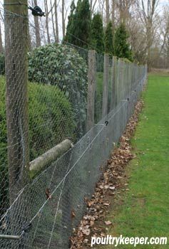 Poultry Fencing Chicken Fencing, Stock Fencing, Automatic Chicken Door, Different Types Of Fences, Chicken Wire Fence, Chicken Fence, Farm Dream, Raising Chicks, Chickens And Ducks