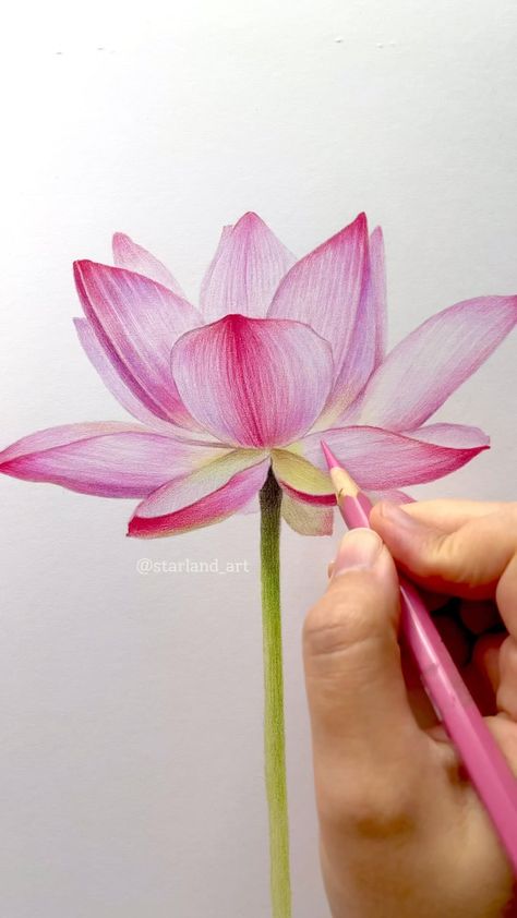 Lotus Flower Colors, Lotus Flower Drawing, Lotus Drawing, Wrist Bracelet Tattoo, Lotus Painting, Watercolor Birthday Cards, Pen Art Drawings, Lotus Art, Watercolor Birthday