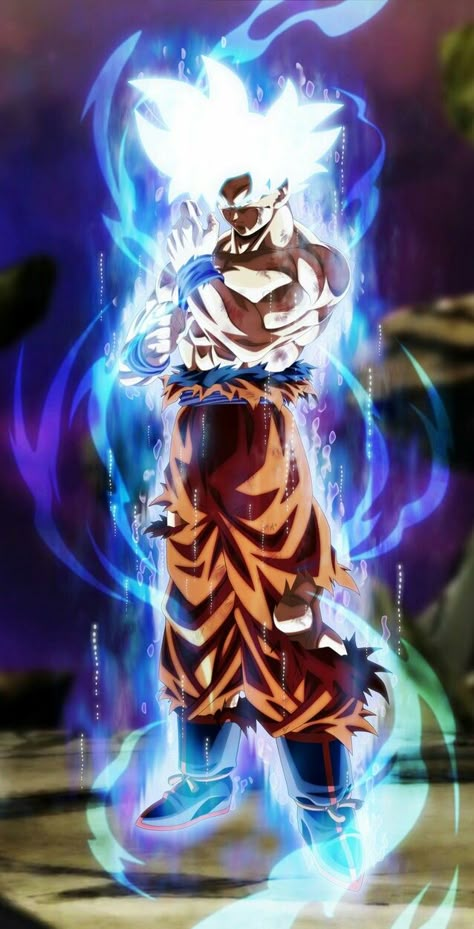 Mastered Instinct Goku Ultra Instinct, Dragon Ball Z Dragon, Super Goku, Dragon Ball Super Wallpapers, Dragonball Super, Ultra Instinct, Dragon Ball Universe, Dragon Ball Super Goku, Dbz Art