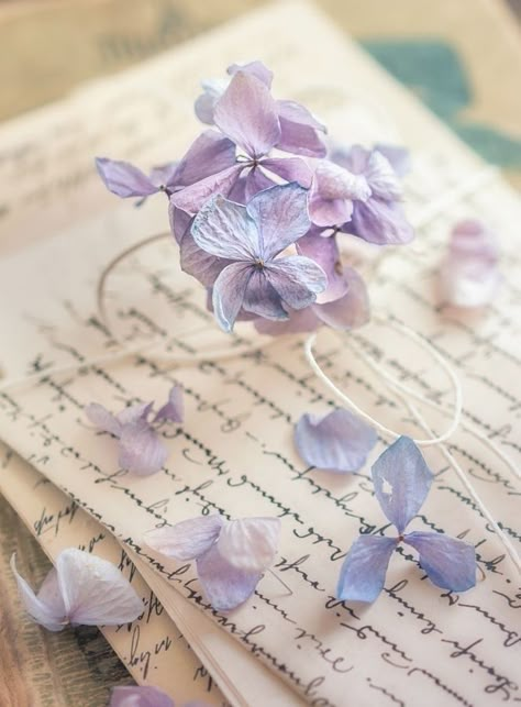 Purple Vibe, Lavender Aesthetic, Book Flowers, Book Wallpaper, 수채화 그림, Soft Purple, Aesthetic Colors, Pastel Purple, Purple Aesthetic