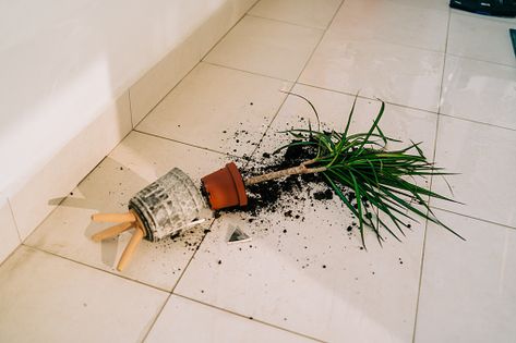 Broken Vase, Home Chores, Plant Home, House Chores, Flower Pots Outdoor, Outdoor Flowers, The Balcony, Ceramic Pot, On The Floor