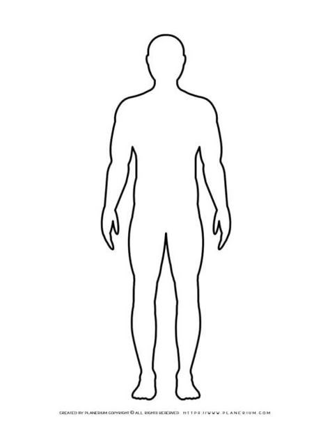 Male Body Outline, Man Body Reference Drawing, Human Outline, Wall Elevation, Person Outline, Arts And Crafts Activities, Template Drawing, Male Body Drawing, Template Art