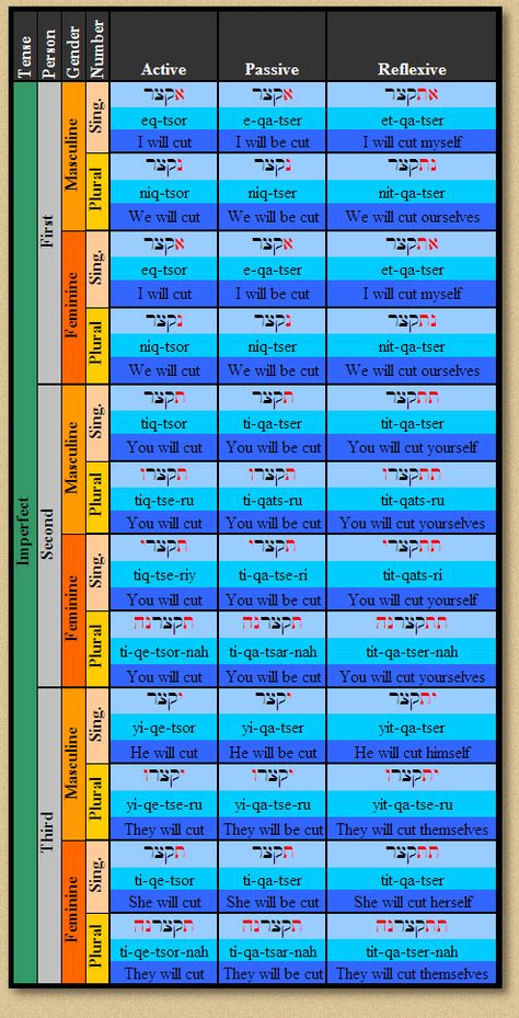 The three voices of Hebrew verbs: active, passive and reflexive. Hebrew Grammar, Ancient Hebrew Alphabet, Learn Hebrew Alphabet, Hebrew Education, Hebrew Vocabulary, Hebrew Writing, Active Passive, English To Hebrew, Hebrew Lessons