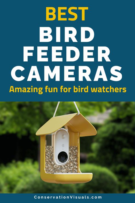 Excited to learn more about your local birds and capture share-worthy shots? Our comprehensive review guide on the best bird feeder cameras is here to help! From simple bird feeders to clever smart cameras with AI technology, we've got you covered. Explore the world of nature photography with these unique camera setups and capture up-close views of our feathered friends. Get ready to enjoy bird watching the high-tech way and take stunning shots of your favorite birds. Smart Bird Feeder, Bird Feeder Camera, Merlin Bird, Wildlife Photography Tips, Best Bird Feeders, Bird Images, Insect Photography, Diy Bird Feeder, Bird Watchers