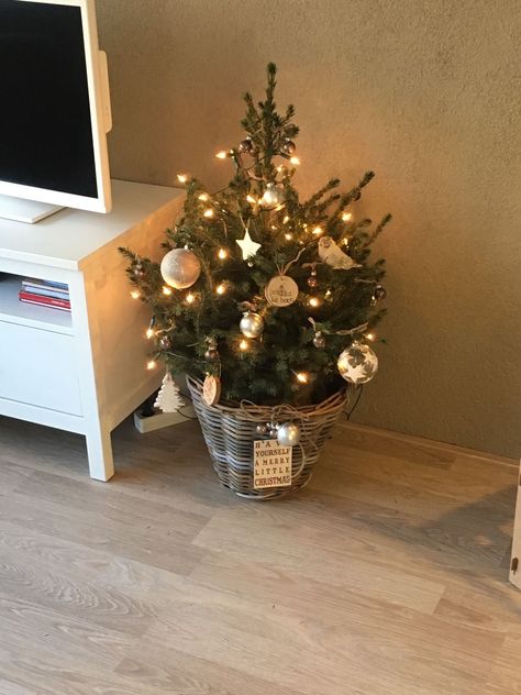 Christmas Tree Small Space, Small Christmas Tree Ideas, Natal Natural, Small Christmas Trees Decorated, Boho Plants, Home Organization Ideas, Small Christmas Tree, Cozy Christmas Decor, Plants Ideas