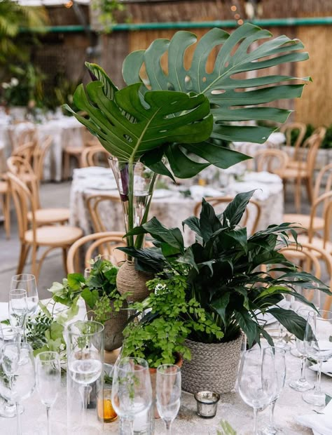 Plant Stand Centerpiece Wedding, Plant Themed Wedding Wedding Table Decor, House Plants At Wedding, Weddings With Plants, Plants In Wedding Decor, Wedding Decor With Plants, Wedding Modern Centerpieces, Tropical Plant Centerpieces, Greenhouse Wedding Centerpieces