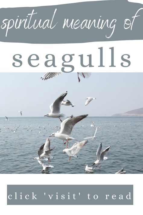 Seagull Meaning, Seagull Spiritual Meaning, Bird Symbolism, Feather Meaning, Viking Cruise, Spirit Animal Meaning, Aquatic Animal, Sea Quotes, Animal Meanings