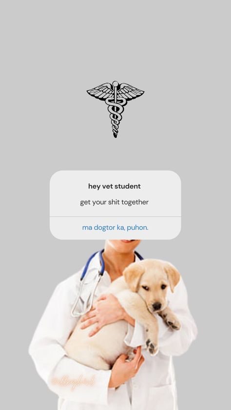 wallpaper vet med veterinary cebu bisaya Veterinary Medicine Aesthetic Wallpaper, Dvm Veterinary Medicine Wallpaper, Veterinarian Aesthetic Wallpaper Iphone, Vetmed Wallpaper, Vet Student Aesthetic Wallpaper, Veterinary Aesthetic Wallpaper, Future Veterinarian Wallpaper, Vet Aesthetic Wallpaper, Veterinary Medicine Wallpaper