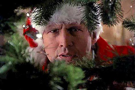 Christmas Vacation!  Look out for the squirrel, Sparky :) Holiday Movie Quotes, Clark Griswold Christmas, Best Christmas Vacations, Christmas Vacation Party, Christmas Vacation Quotes, Christmas Vacation Movie, Vacation Movie, Griswold Christmas, Christmas Films