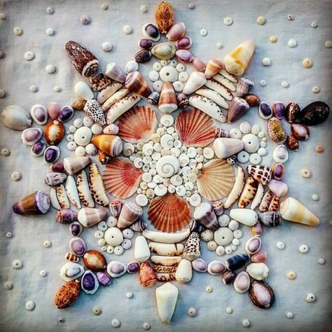 43 Crafts with shells, inspirational ideas for creative minds | My desired home Crafts With Shells, Nature Ornaments, September Aesthetic, Seashell Ideas, Pool Club, Natural Crafts, Small Gifts For Friends, Art Coquillage, Seashell Projects