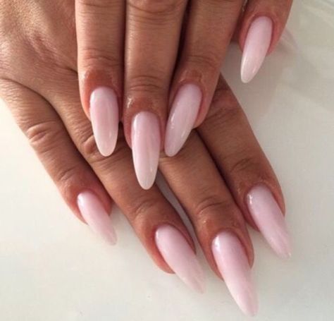 . Soft Nails, Oval Nails, Girls Nails, Dream Nails, Fire Nails, Classy Nails, Pretty Acrylic Nails, Chic Nails, Dope Nails