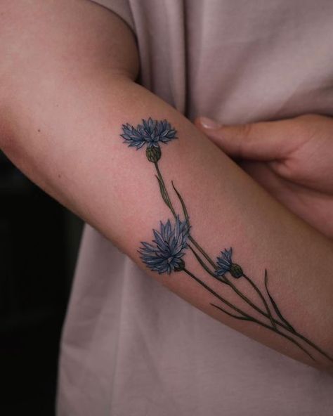 Sasha Vorobiova⋅tattoo artist on Instagram: "cornflowers 💙 in love with these details #botanicalart #botanical #botanicaltattoo #botanicalillustration #botanicaltattoos #floraltattoo #cornflowertattoo #floraltattoos #cornflowertattoos #cornflowers" Cornflower Tattoo Black, Cornflower Sketch, Blue Cornflower Tattoo, Cornflower Tattoo, Mommy Daughter Tattoos, Lilac Tattoo, Hand Tatto, Thistle Tattoo, White Tattoos