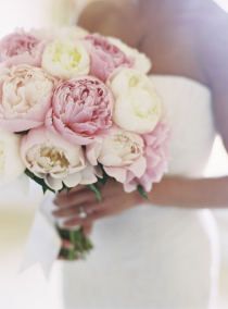 Pink and white peonies Spring Wedding Decorations, Peony Bouquet, Connecticut Wedding, Peonies Bouquet, Cream Roses, Wedding Wishes, Bride Bouquets, Here Comes The Bride, Pink Peonies