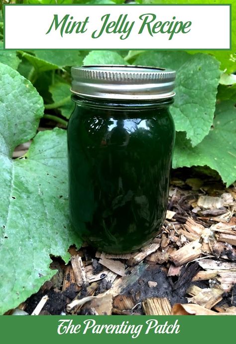 Apple Mint Jelly Recipe, Mint Jelly For Lamb, Herb Jelly, Chartreuse Board, Mint Jelly Recipe, Mint Recipes Fresh, Cabin Recipes, Mint Growing, Mint Ideas