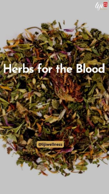 Greater Wellness and Wellbeing on Instagram: "Do you have any of these herbs at your place? Cleanse the blood and improve its circulation using this tea for the blood! Ingredients used: Alfalfa Hawthorn Motherwort Nettle Burdock root By @elixirherbshop Follow @lijiwellness for more health information and wellness tip . . . . #herb #herblife #nutricionherbalife #choosehealthy #healthyeatingtips #nourishyourbody #eatingright #healthfreak #dailynutrition #cleaneat #healthpreneur #healthretreat Tea For Circulation, Blood Cleansing Herbs, Burdock Root Tea, Cleansing Herbs, Herb Life, Tea Remedies, Health Retreat, Tea Cleanse, Burdock Root